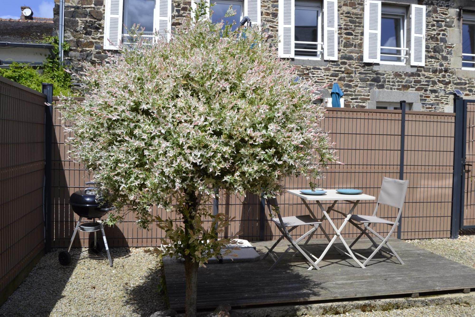 Charmante Petite Maison Proche Du Port, Maison 7 Binic Esterno foto